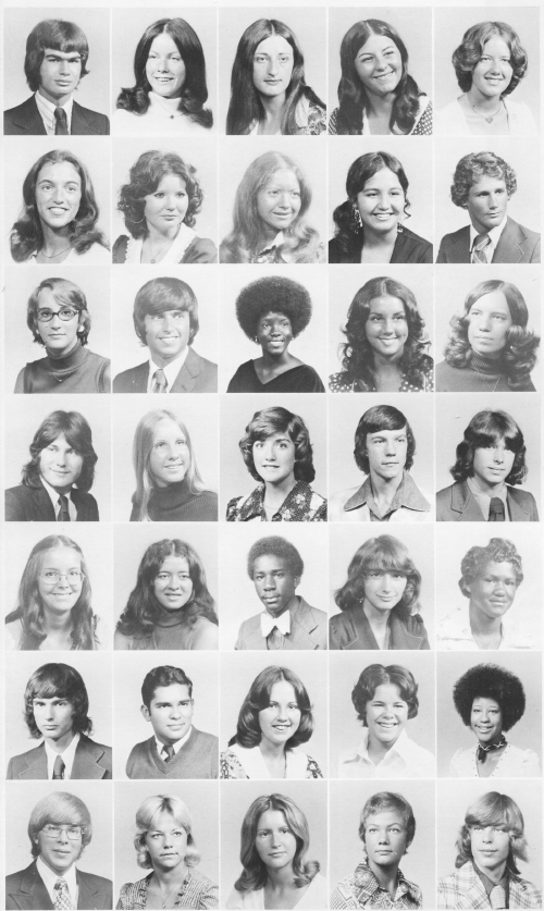 Lafayette Marquis 1975 page 177