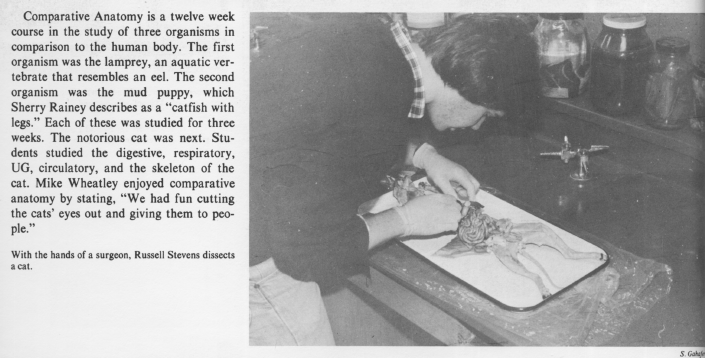 Lafayette Marquis 1981 page 046